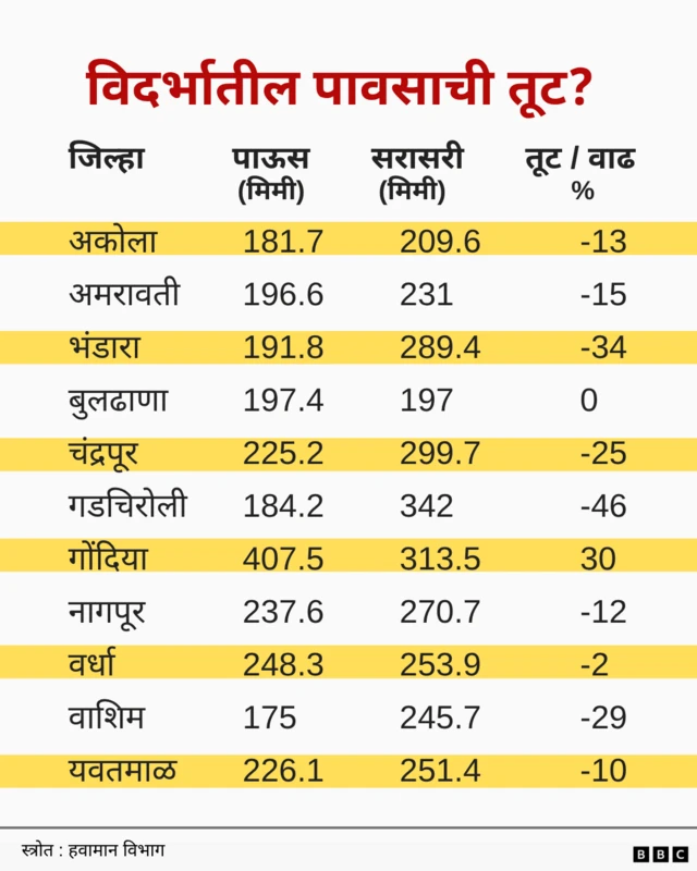 विदर्भातील पावसाची स्थिती