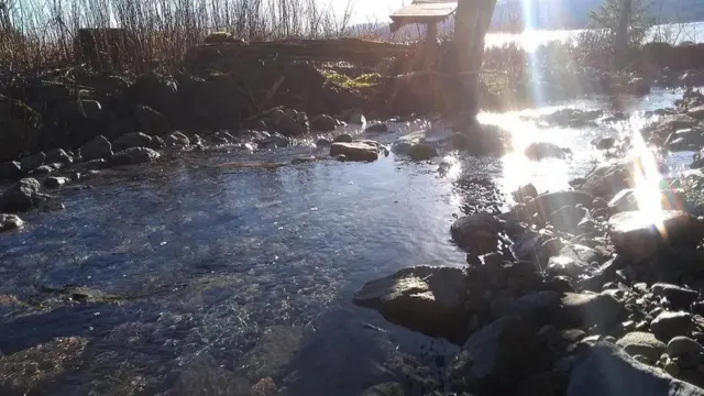 مع أن سوق بيع المياه غير المُعالجة وشرائها ما زال محدودا، فإن أعدادا أكبر من الناس تسعى للوصول إلى موارد مياه "برية" وتنشر مواقع هذه الموارد على الإنترنت