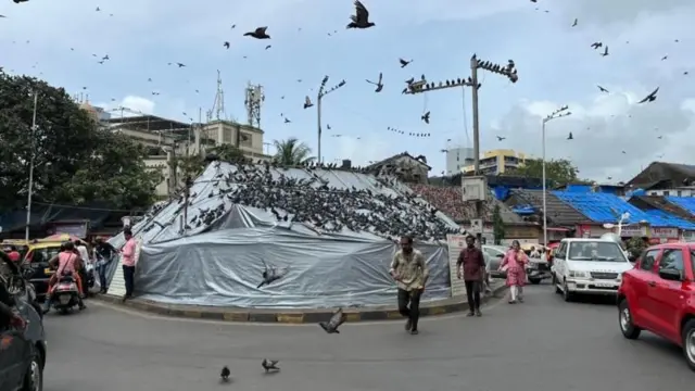 ਕਬੂਤਰਖਾਨੇ