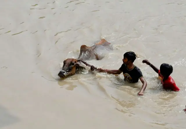 दिल्ली पूर