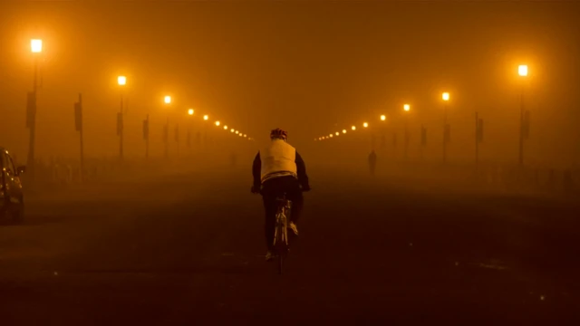 Paljenje useva posle žetve van granica grada značajno doprinosi zagađenju vazduha u Nju Delhiju