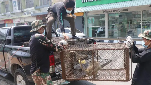 กรมอุทยานแห่งชาติ สัตว์ป่า และพันธุ์พืช