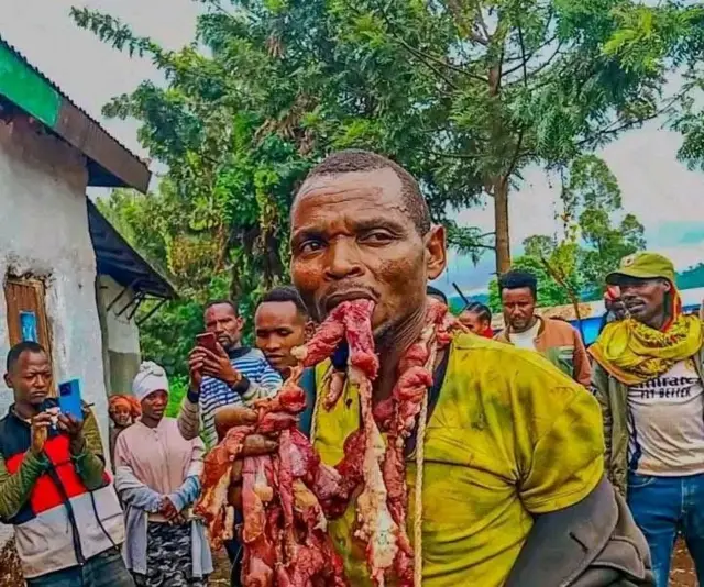 Abada aadaa nama horii hatee qalate akkanaan adabaabayiitti wayita qaanessuun 