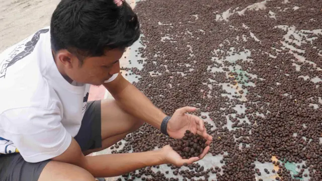 Hendrika berkata lumpur menyelimuti lahan jemur kopi miliknya dan banjir merendam rumah produksi kopinya.