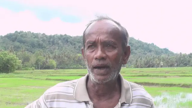 නෙල්සන් ආරියවංශ