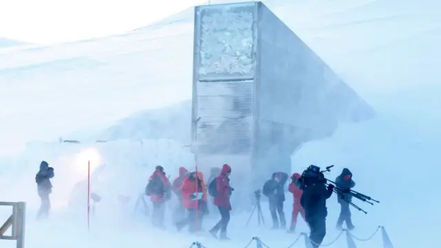 El semillero global en una isla del océano Glacial Ártico