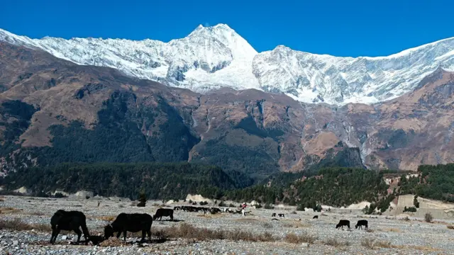 हिमालमा हिउँ पनि कम हुँदै गएको बताइन्छ