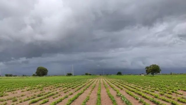 ગુજરાતમાં કયા જિલ્લામાં કેટલો વરસાદ?