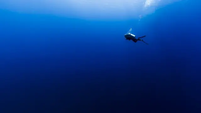 உயிரொளிர்வு: கடல் கரையில் பரவிய வெளிச்சம் - என்ன காரணம்?