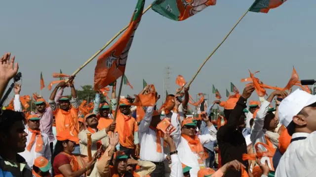 भाजपा समर्थक