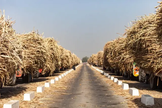 رحیم یار خان شوگر مل