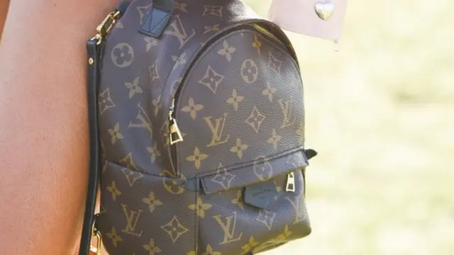 Àpamọ́wọ́ tí èèyàn lè fà dání tàbí pọ̀n sẹ́yìn