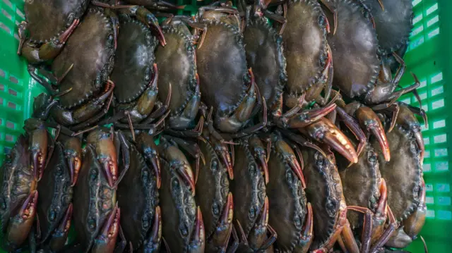 Jamoat transportida jinsiy fantaziyalar Gussar orgiyalari ishtirokidagi porno kliplar