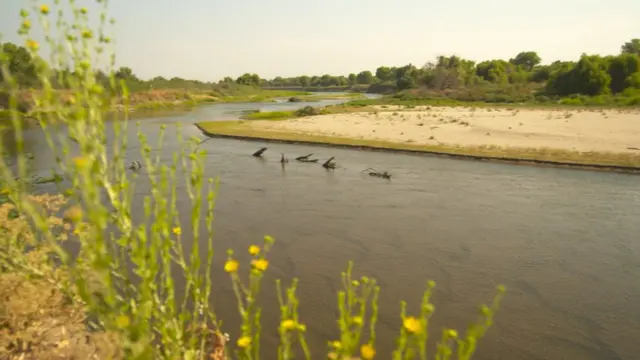 رود تولومنی که به سن واکین می ریزد