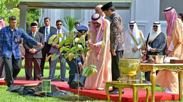 Saudi King Salman planting a tree in Indonesia