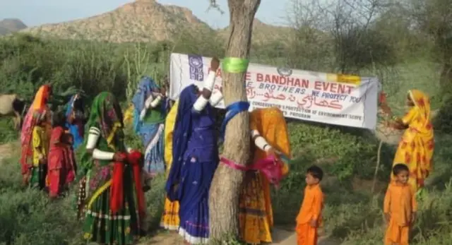 பலகோடி ரூபாய் மதிப்புள்ள மரத்தைப் பாதுகாக்கப் போராடும் பாகிஸ்தான் பெண்கள்