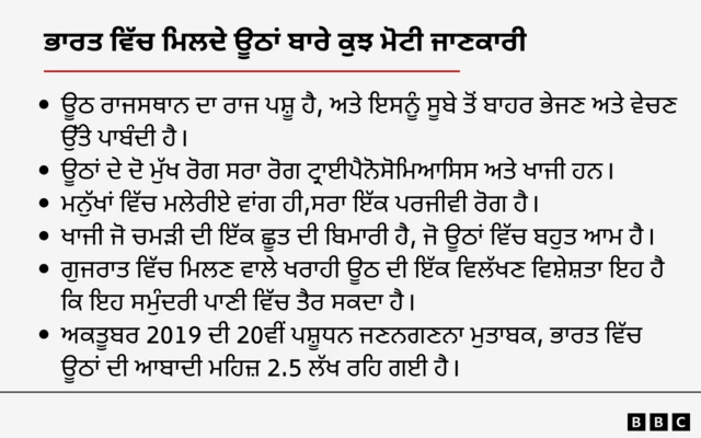 ਭਾਰਤੀ ਊਠਾਂ ਬਾਰੇ ਕੁਝ ਮੋਟੀ ਜਾਣਕਾਰੀ