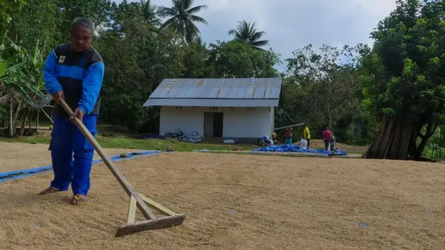 covid-19, petani, bansos, virus corona, resesi