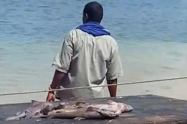 Kalluumaysiga Libaax baddeedka Indho buur