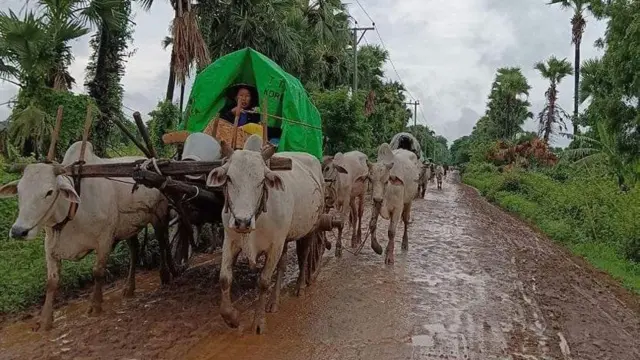 ကန့်ဘလူစစ်ရှောင်ပြည်သူအချို့ (ပုံဟောင်း) 