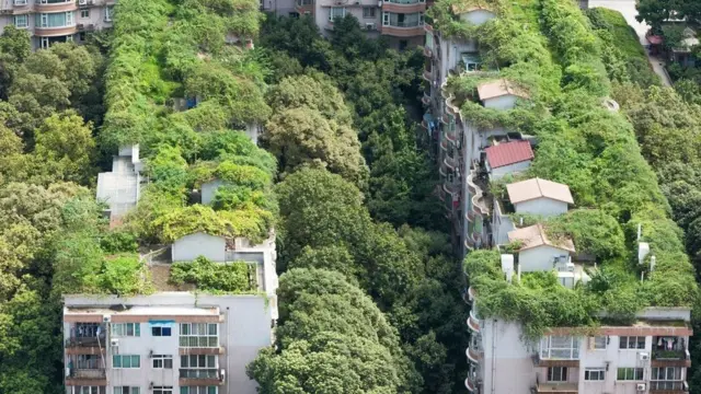 مدينة تشنغدو الصينية