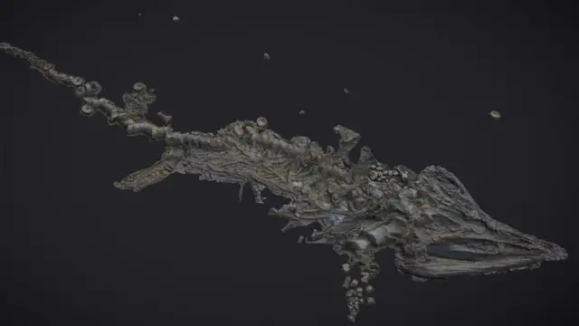 hasil pemindaian fosil naga laut purba