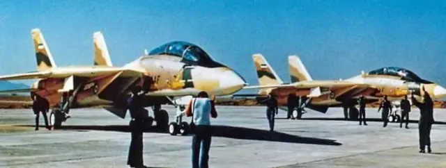 نخستین دو فروند اف-۱۴ نیروی هوایی با عبارت نیروی هوایی شاهنشاهی ایران (IIAF) پس از تحویل