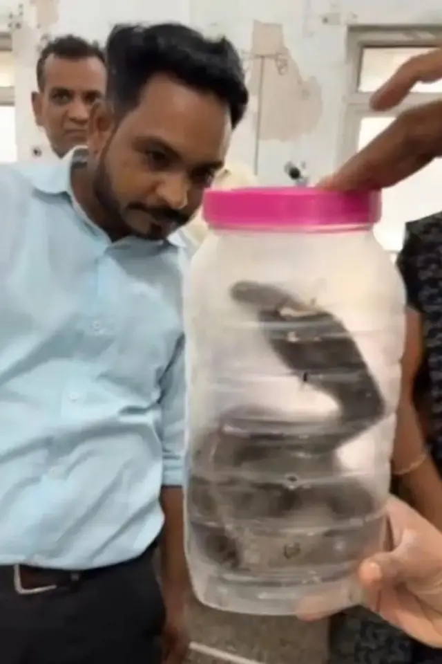 ڈاکٹروں کا کہنا ہے کہ اگر وہ ہسپتال کی نگرانی میں رہتے تو ان کی جان بچ سکتی تھی