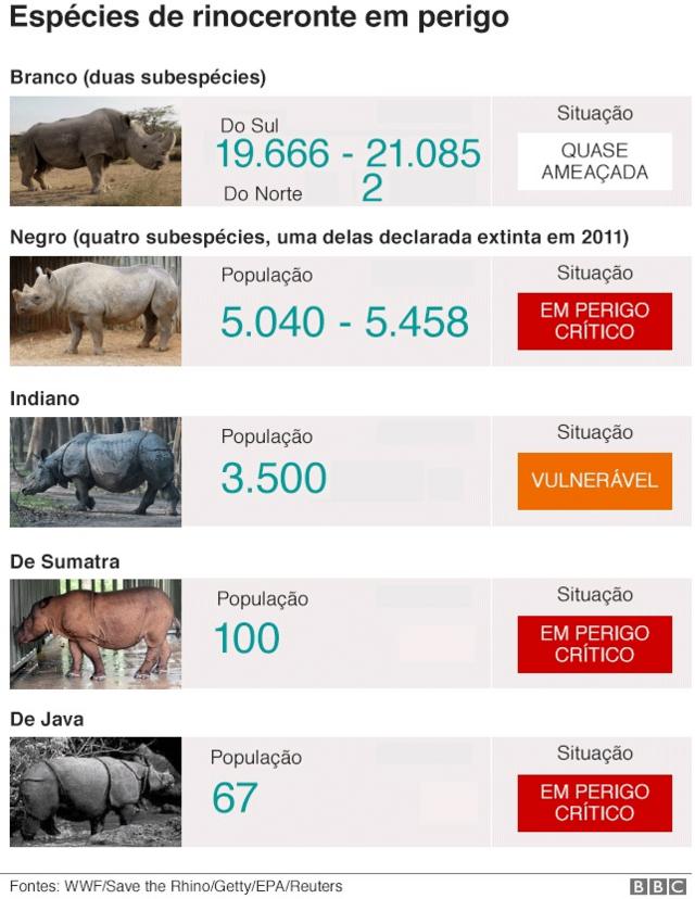 Ilustração da BBC News mostra qual é a situaçãocomo fazer aposta pela internet na mega senacada espéciecomo fazer aposta pela internet na mega senarinoceronte; a subespéciecomo fazer aposta pela internet na mega senarinoceronte branco do norte só tem mais duas fêmeas, enquanto a do norte tem mais indivíduos; rinocerontescomo fazer aposta pela internet na mega senaSumatra e Jaca estãocomo fazer aposta pela internet na mega senaperigo crítico.