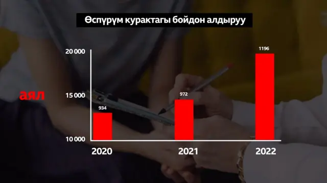 Статистикалык маалымат 