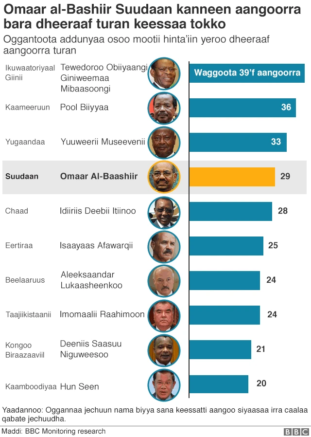 Odeeffannoo bara mootonni Afrikaa aangoorra turan