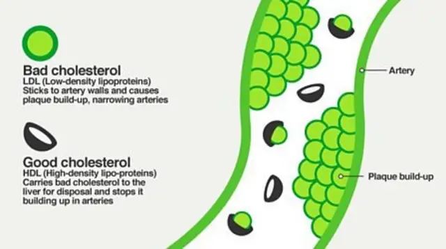 هرچه نسبت کلسترول اچ‌دی‌ال “خوب” به کلسترول ال‌دی‌ال “بد” بالاتر باشد برای سلامتی بهتر است.