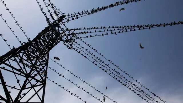 విద్యుత్