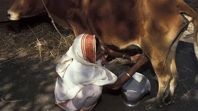 বাংলাদেশের অনেক নারীরা খামার করে থাকেন।