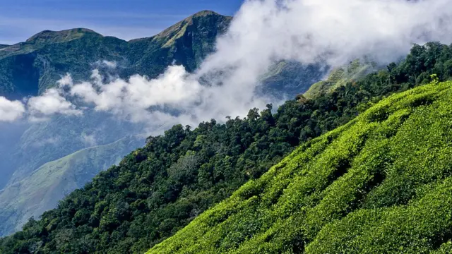 கோப்புப்படம்