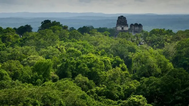 Suku Maya mengandalkan curah hujan musiman untuk persediaan air mereka, yang mereka kumpulkan di waduk.