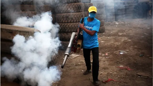 পূর্ণ বয়স্ক মশা মারতে ফগিংয়ের পরামর্শ দেয়া হয়।