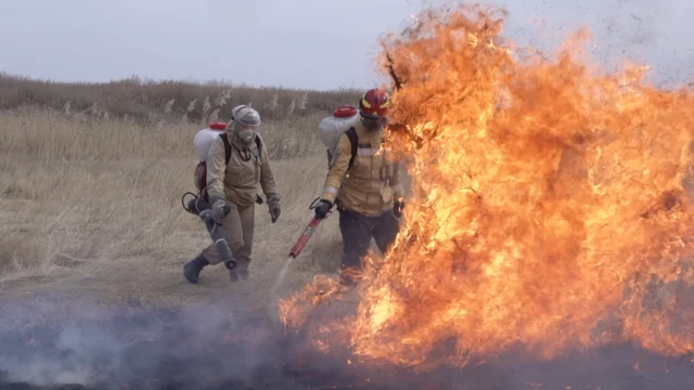 Огонь в степи