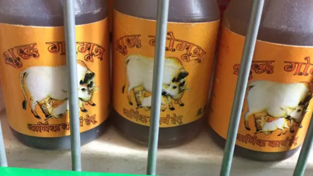 Bottles of cow urine on a shop shelf