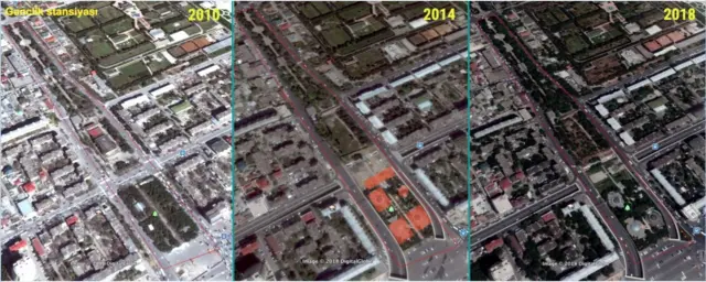 Nəsimi, Gənclik, park, ağaclar, yaşıllıq, məhv, ağaclar qırılır