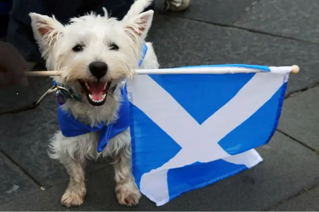 Пес за независимость