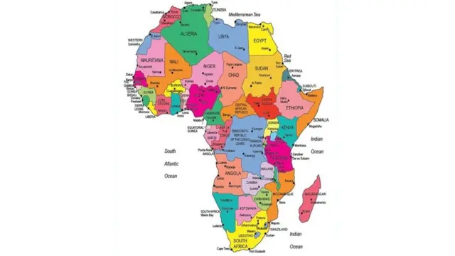 Qanday qilib mushukni mushukka kiritish mumkin