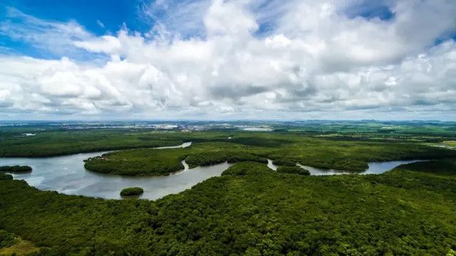 Floresta amazônica