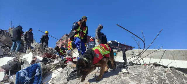 "Рентген, тепловизор сыяктуу жаңы технологиялар издеп, өтүп кетип жаткан жерден иттер тирүү адамдарды таап жатты."