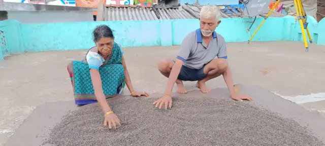 మిరియాలు