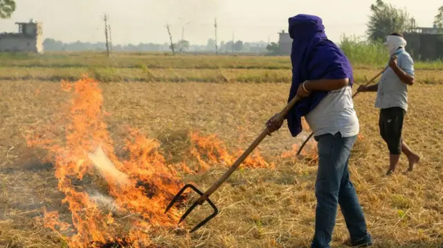 पंजाब में पराली जलाते किसान