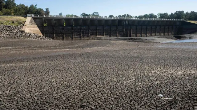 তীব্র খরায় উরুগুয়ের এই জলাধারটি শুকিয়ে গেছে।