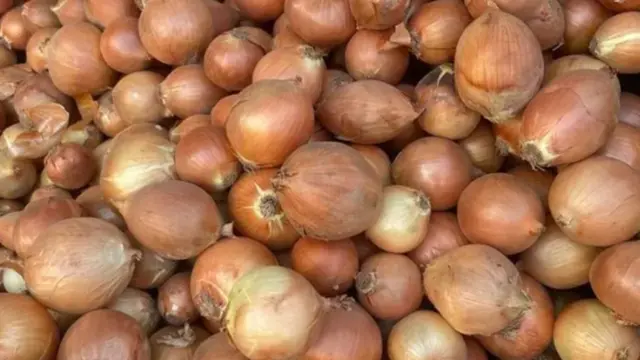 పాకిస్తాన్‌లో కొండెక్కిన ఉల్లి ధర