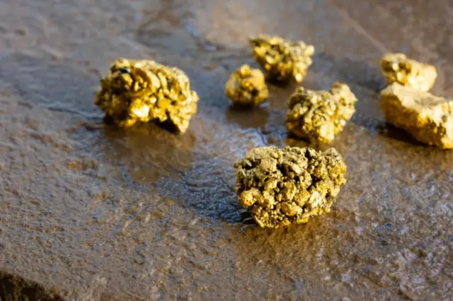 ડિસ્ક્રિપ્શન તસવીર પાંચ