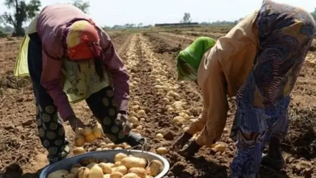 உருளைக்கிழங்கு விவசாயிகளுக்கு எதிரான வழக்கு வாபஸ் பெறப்படும்